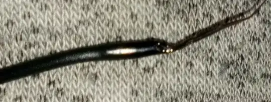 Photo of filament with significantly different sized diameter Photo of filament with significantly different sized diameter