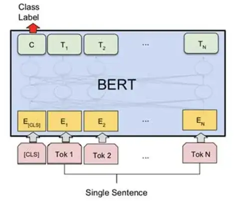 BERT for single sentence