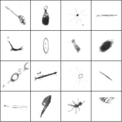 Pre-processed images