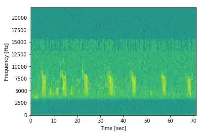 bird call spectrogram