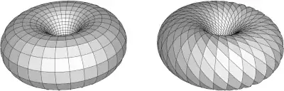 A Dehn twist of a torus