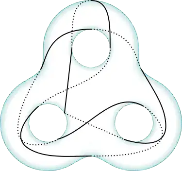 6_3 knot on a 3-torus