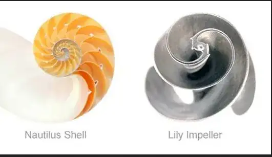 lily impeller