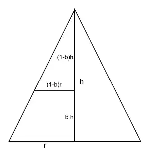 cross-section of cone