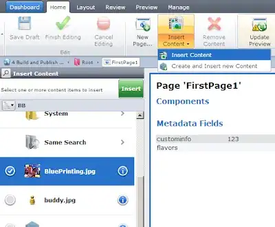 Insert Content option Experience Manager Screenshot -