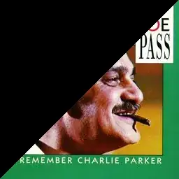 Example concatenated image