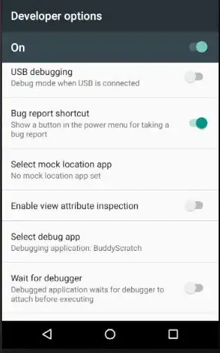 developer settings example