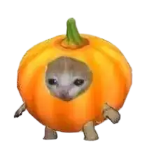 Without 'new' keyword photo