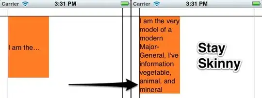 strange border in First Name field