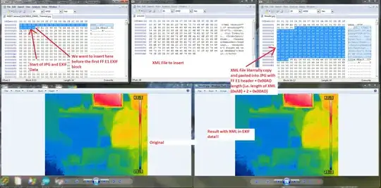 Example of XML file inserted into EXIF data of JPG
