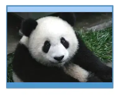 Picture Of The Search Page