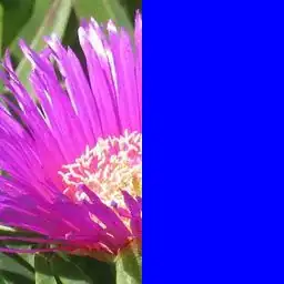 docker list all images