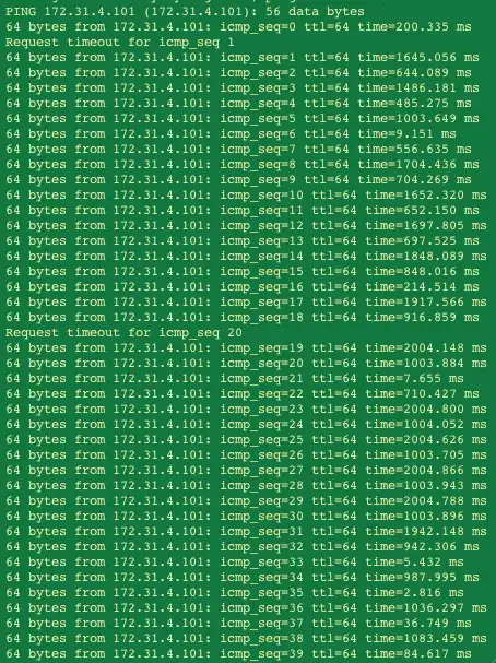 Application controller before angular execution