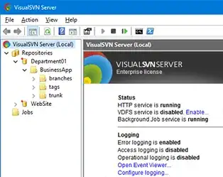 Library version is being shown in the application