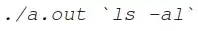 ./a.out ls -al