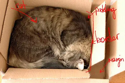 checked auto signing