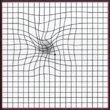 Homepage loads fine.