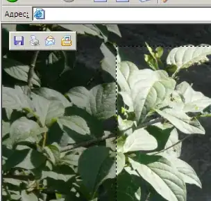 Trying to click Checkbox for terms