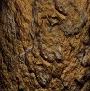 code in vim and php server running