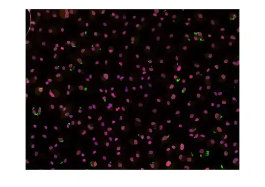 In this image there is an alert dialog but I want to remove extra spaces from above welcome title