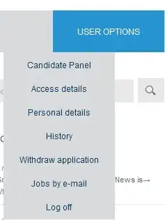Internet Explorer Screen Shot