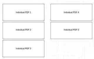 Individual PDFs