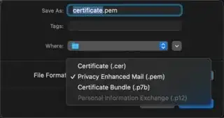 Image of export dialog box