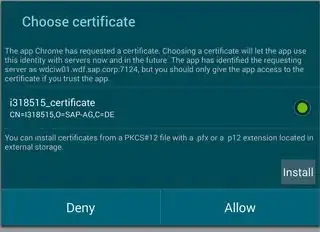 Choose certificate on Chrome